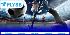 Để chinh phục giải thưởng thì người chơi sẽ có đa dạng lựa chọn